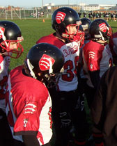 Uni of Essex Blades (UK) Helmet Decals